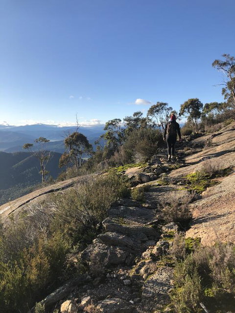 Yours And Theirs Pet Friendly Accommodation - Internet Find 0