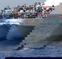 MoonshadowTQC Cruises - Internet Find