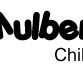 Mulberry Tree Childcare Mount Claremont - Internet Find