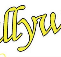 Scallywags Childcare Pty Ltd - Internet Find