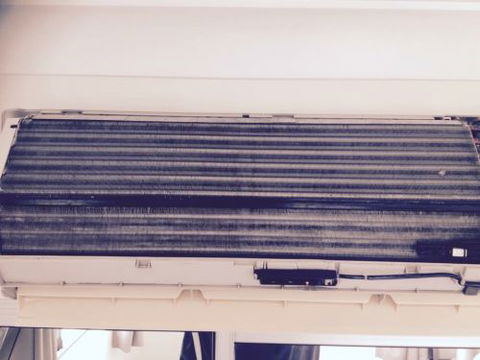 Coral Coast Services Pty Ltd - Internet Find 1