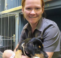 Grafton Veterinary Clinic - Internet Find
