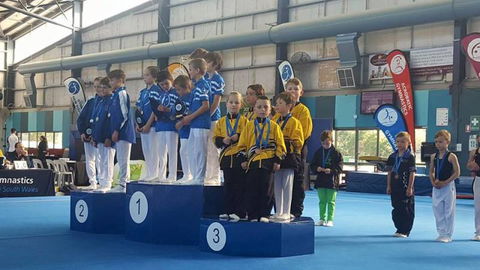 Gosford Gymnastics - Internet Find 1