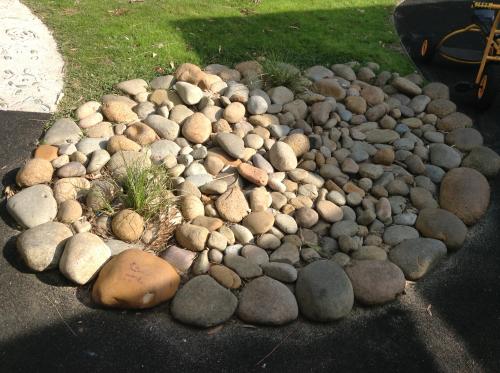 Nurseries Garden Centres Terrigal NSW Internet Find