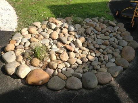 Shine Early Learning Centre - Internet Find 0