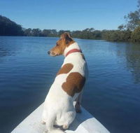Australis Canoes  Kayaks - Internet Find