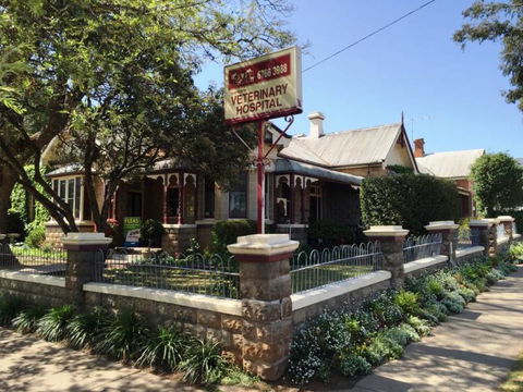 Tamworth Veterinary Hospital - Internet Find 2
