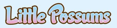 Little Possums Pre School & Early Learning Centre - Internet Find 0