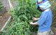 Parklands Community Preschool (Kariong) - thumb 6