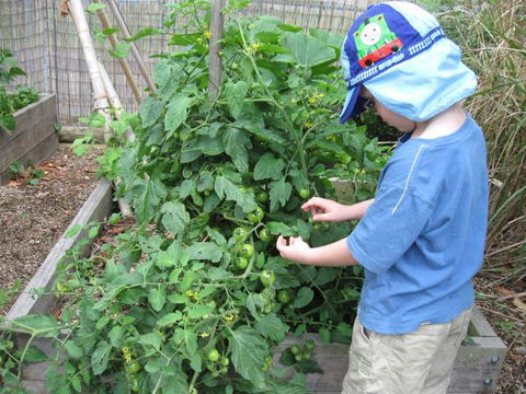 Parklands Community Preschool (Kariong) - Internet Find 6