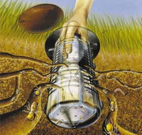 Natural Pest Control - Internet Find