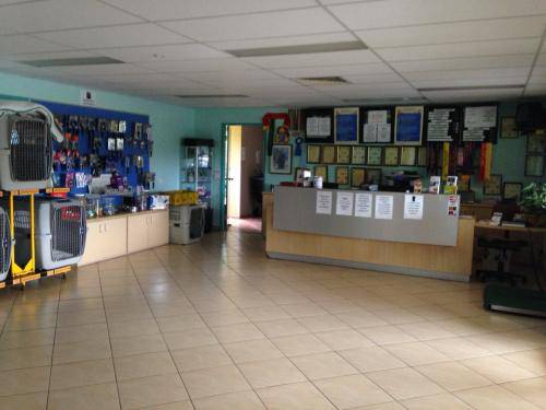 Dog Boarding Kennels Bonville NSW Internet Find