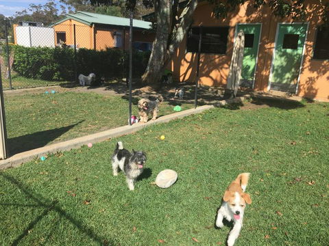 Tarraray Pet Retreat - Internet Find 3