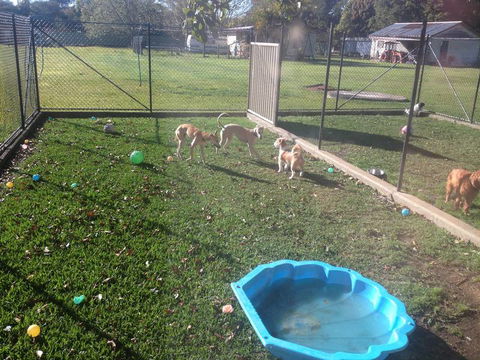Tarraray Pet Retreat - Internet Find 5