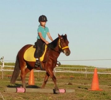Horse Riding Walkerston QLD Internet Find