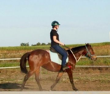 Concise Equestrian Centre - Internet Find 3