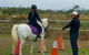 Concise Equestrian Centre - thumb 4