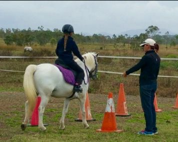 Concise Equestrian Centre - Internet Find 4