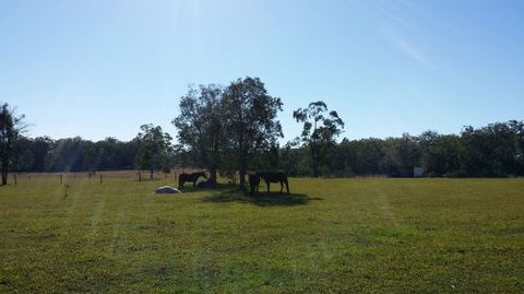Arizona Horse Agistment Centre - Internet Find 1
