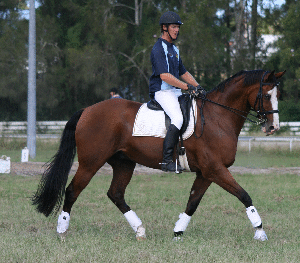 Spirit Lodge Equestrian Centre - Internet Find 3