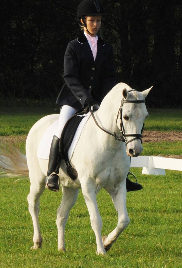 Horse Riding Williamtown NSW Internet Find