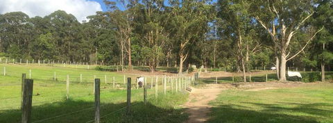 Merrypark Equestrian Centre - Internet Find 0