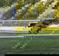 Townsville Agistment - Internet Find