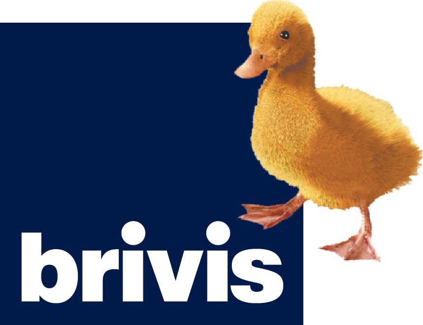 Electricians Inverell NSW Internet Find