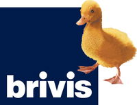 Sapphire City Solar  Electrical