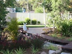 Cameron Park Early Learning Centre - Internet Find 2