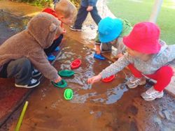 Cameron Park Early Learning Centre - Internet Find 3