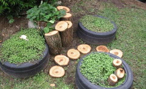 Honeybee Preschool - Internet Find 0