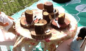 Honeybee Preschool - Internet Find 2