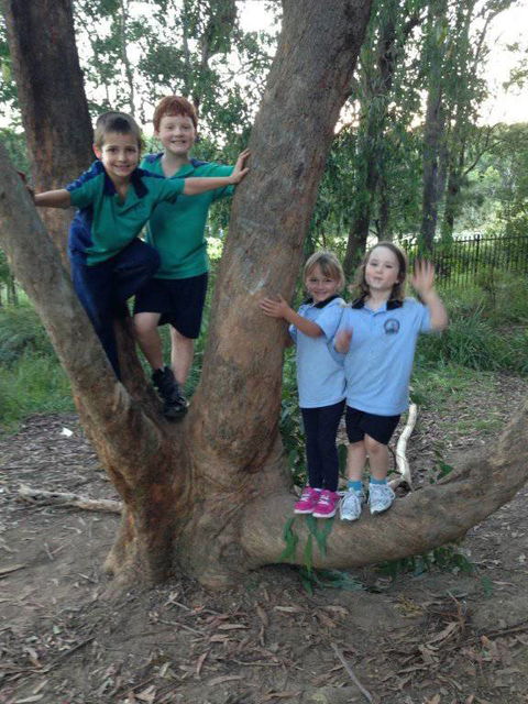 Merewether Heights OOSH & Vacation Care - Internet Find 3