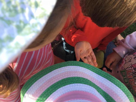 Tattle Tales Preschool - Internet Find 2