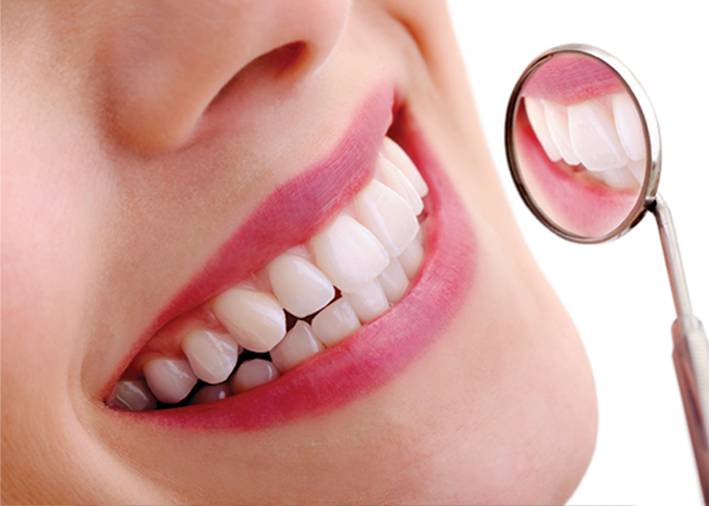 Dentists Specialists Earlville QLD Internet Find