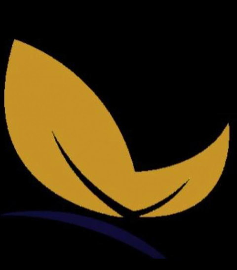 Fraser Shores Medical Centre And Hervey Bay Skin Clinic - Internet Find 2