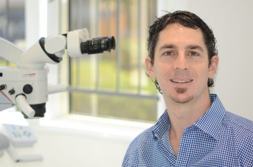 Dentists Specialists Bundaberg QLD Internet Find