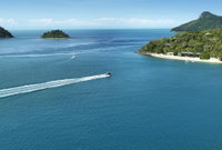 Qualia
