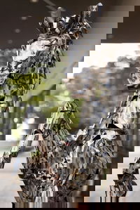 Best Western Sanctuary Inn