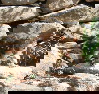 Jenolan Caves House - Internet Find