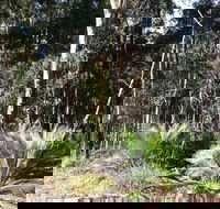 The Bower at Broulee - Internet Find