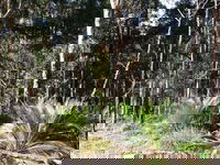 The Bower at Broulee