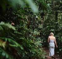 Daintree Ecolodge - Internet Find