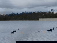 Business in Lake Leake TAS Internet Find Internet Find