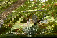 Business in Woolsthorpe VIC Internet Find Internet Find