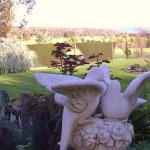 Warragul South VIC Internet Find