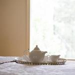 White Lotus Day Spa