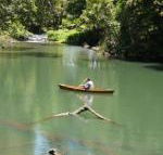 Figtree Getaway - Internet Find