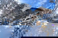 Alpine Retreat Mt Buller